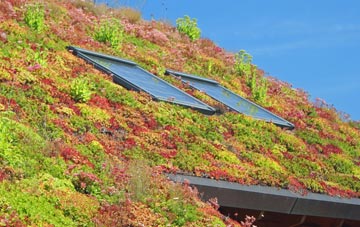 Wivenhoe living roof systems